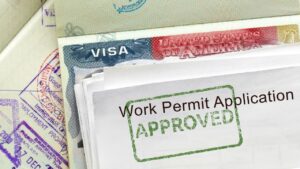 I-20 Student: Work Permit After Graduation?